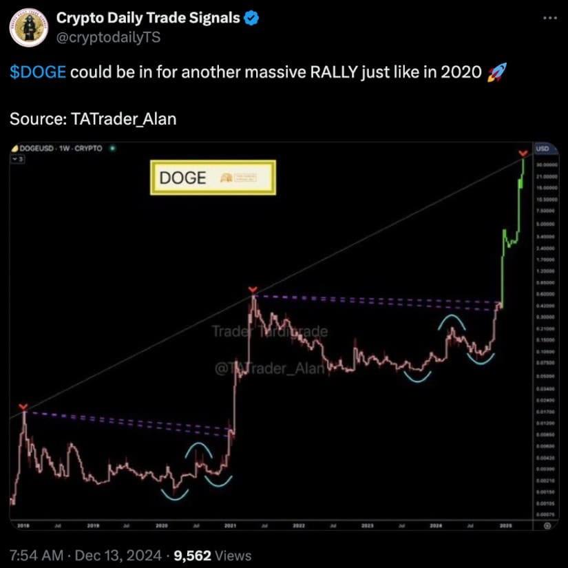 doge-signal.jpg