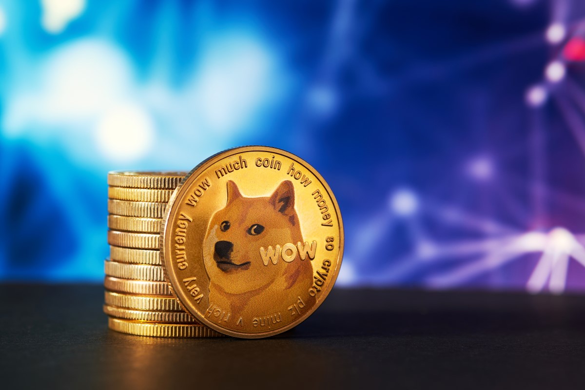 dogecoin_erme.jpg