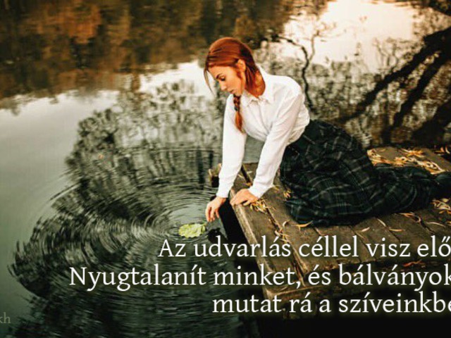 AZ UDVARLÁS KÉTSÉGEINEK FELVÁLLALÁSA