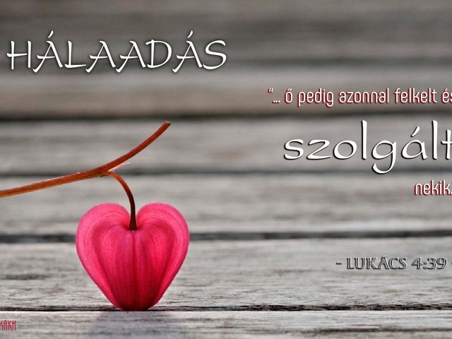 PÉTER ANYÓSÁNAK MEGGYÓGYÍTÁSA