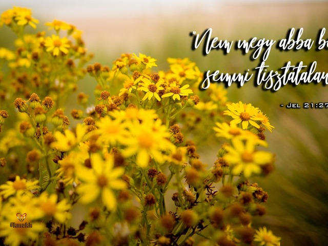MENNYORSZÁG