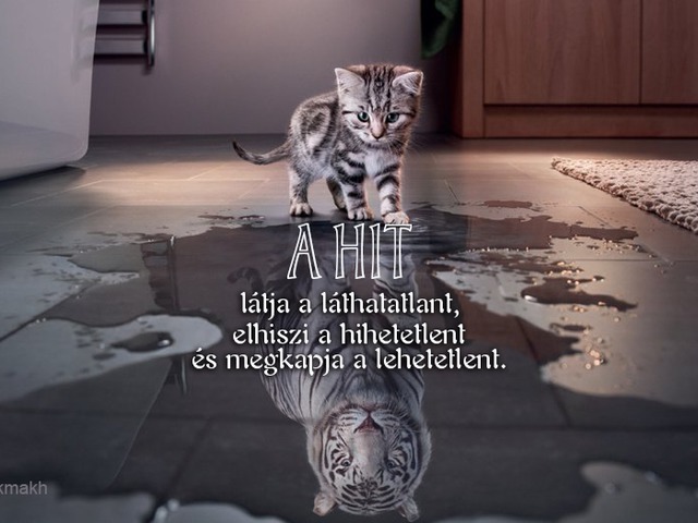 EGY KIRÁLYI EMBER FIÁNAK MEGGYÓGYÍTÁSA