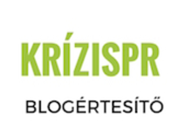 A vízről prédikálni
