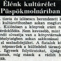 1180. Élénk kultúrélet Püspökmolnáriban