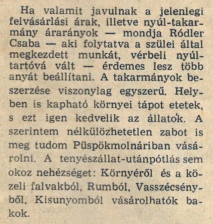 Ródlerék nyulai 4.jpg