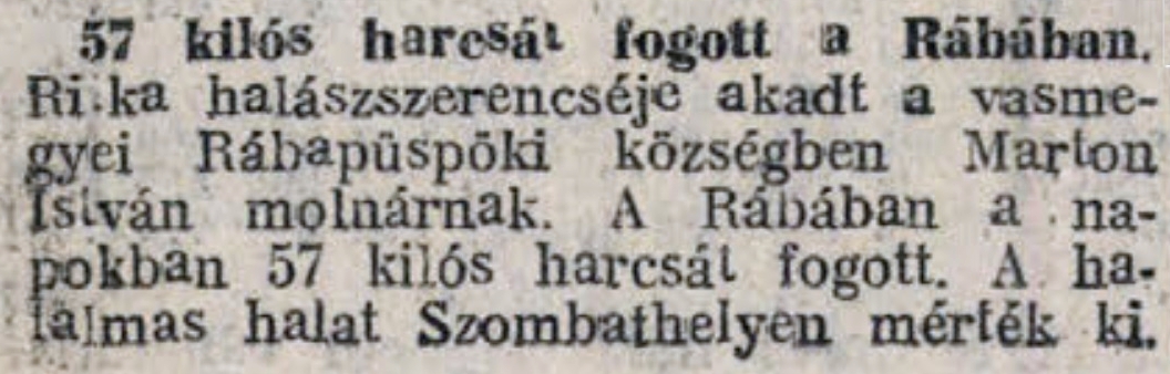 kis_ujsag_19340116_7o.jpg