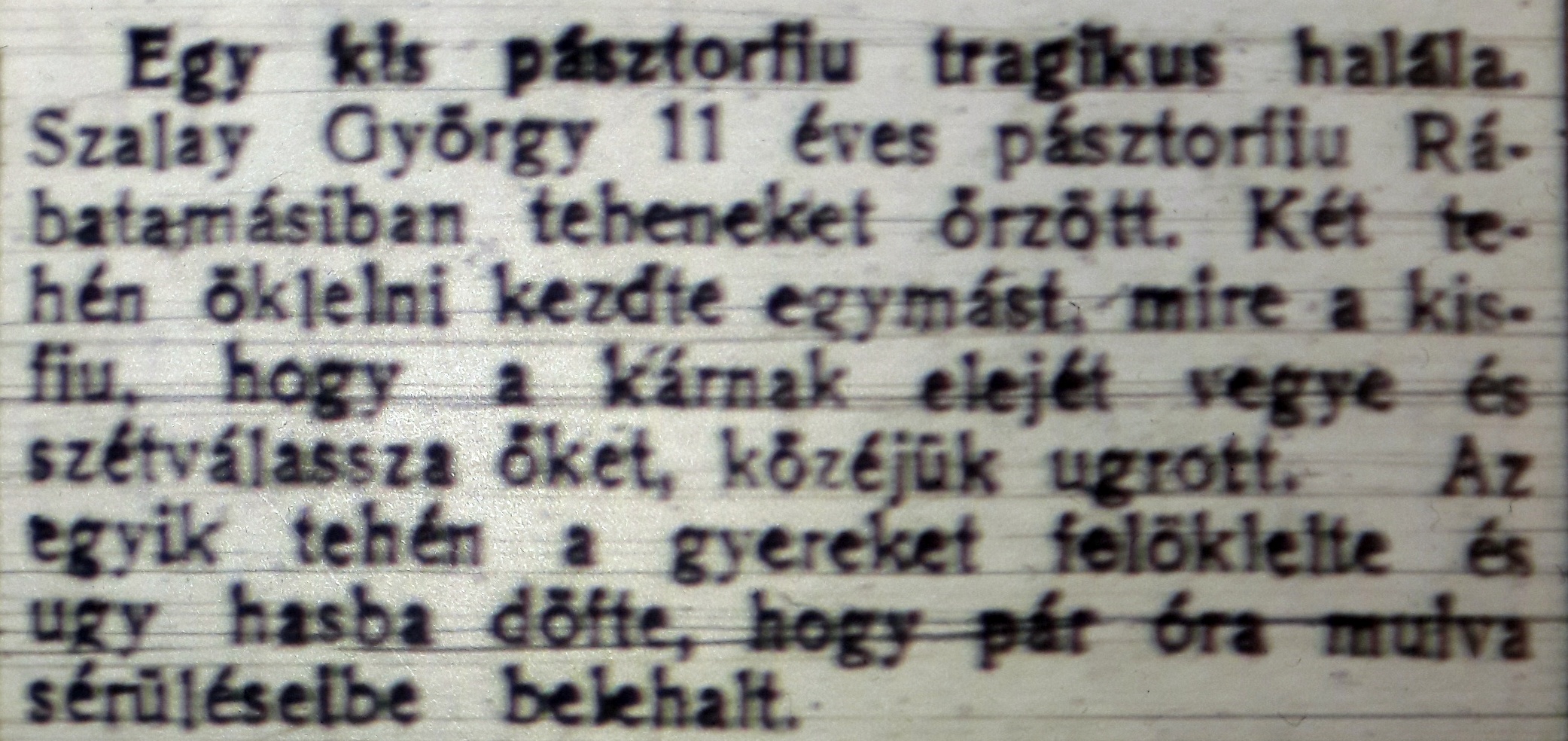 vasvarmegye19250605_4o.jpg