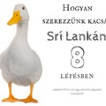 Hogyan szerezzünk kacsát Srí Lankán 8 lépésben
