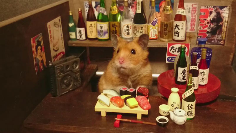 hamster-shopkeepers-3.jpg