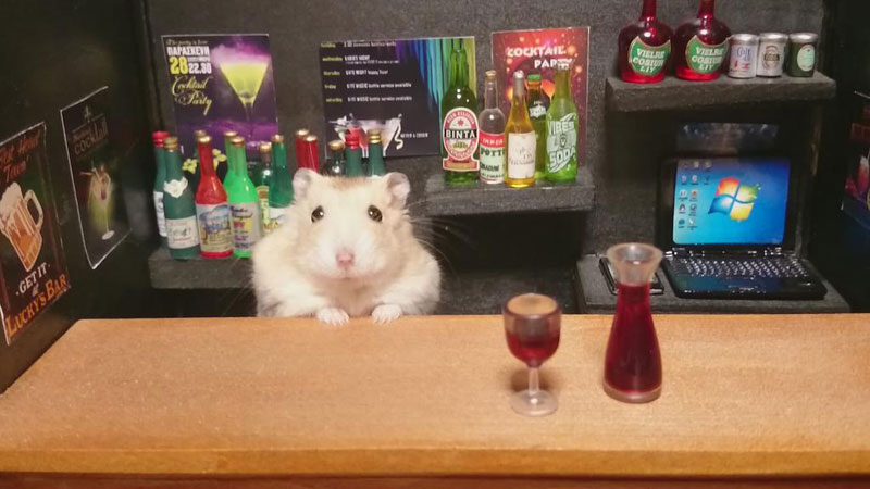 hamster-shopkeepers-running-restaurants-and-bars10.jpg