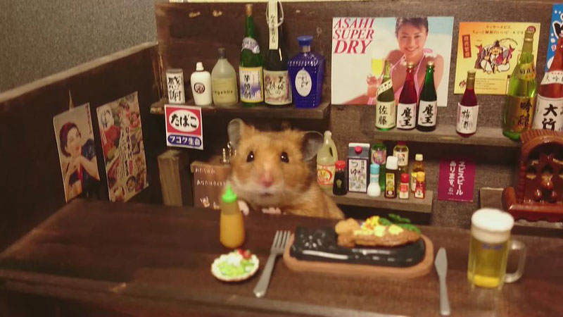 hamster-shopkeepers-running-restaurants-and-bars15.jpg