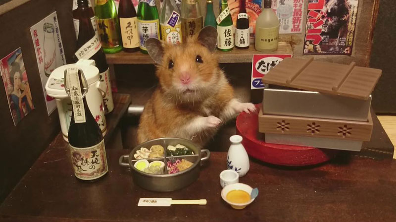 hamster-shopkeepers-running-restaurants-and-bars16.jpg