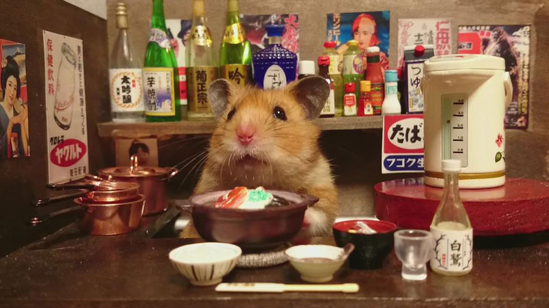 hamster-shopkeepers-running-restaurants-and-bars18.jpg