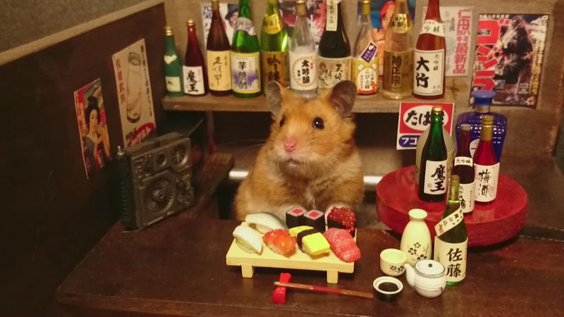 hamster-shopkeepers-running-restaurants-and-bars2.jpg