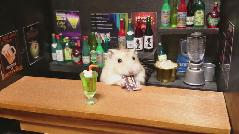 hamster-shopkeepers-running-restaurants-and-bars20.jpg