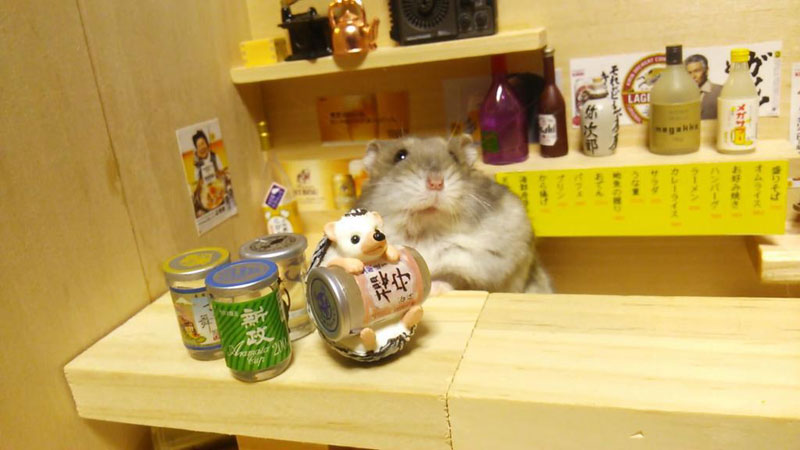 hamster-shopkeepers-running-restaurants-and-bars4.jpg