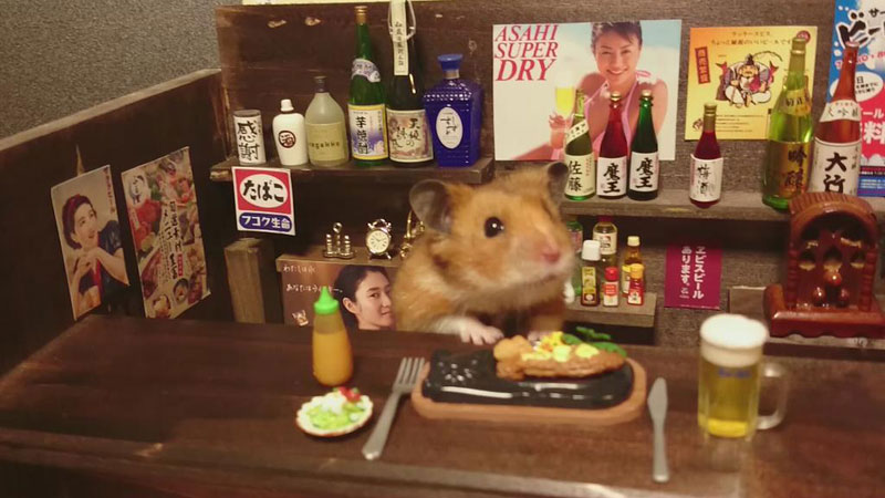 hamster-shopkeepers-running-restaurants-and-bars6.jpg