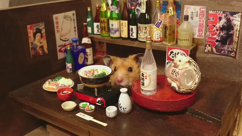 hamster-shopkeepers-running-restaurants-and-bars9.jpg