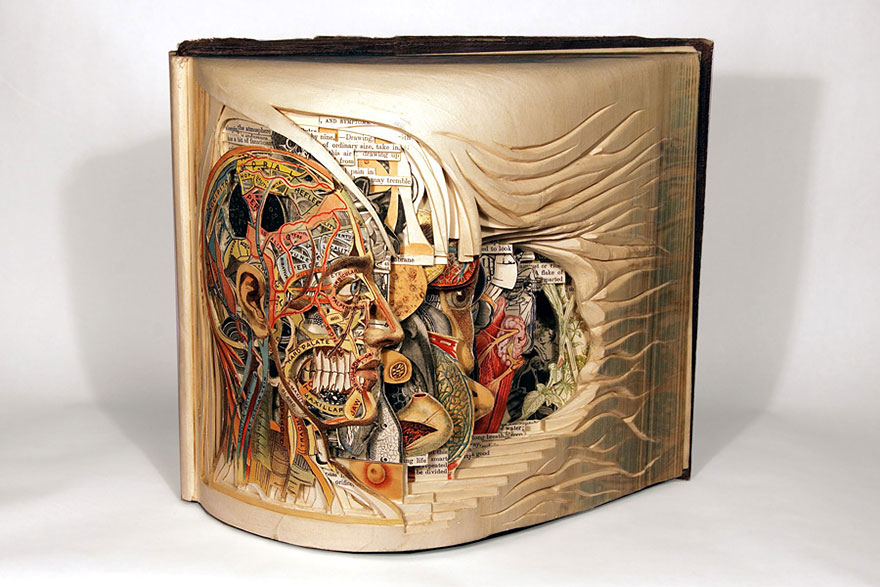 paper-book-sculpture-art-brian-dettmer-2_880.jpg