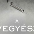 Stephenie Meyer új regénye novemberben magyarul is megjelenik