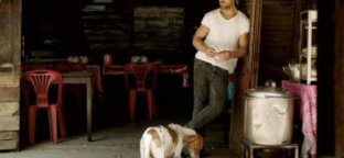 Kifütyülték Ryan Gosling új filmjét Cannes-ban