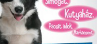 Örökbefogadó nap az Illatos úton