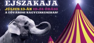 Először cirkuszolhatunk éjszaka is