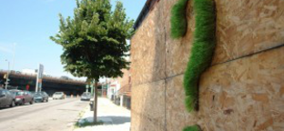 Készíts növényből graffitit vasárnap a Duna-parton