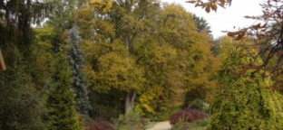 Megújult a zirci arborétum 