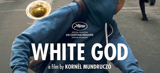 Mundruczó Kornél Fehér Isten című filmje fődíjat nyert Cannes-ban