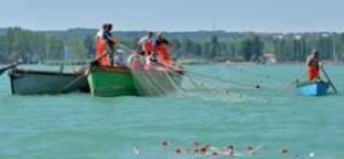 Halásznap a Balatonon