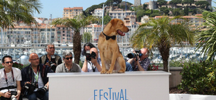 Hatalmas siker Cannes-ban Mundruczó Kornél új filmje