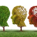 Az Alzheimer-kór diagnosztikus lehetőségei