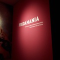 Frida Kahlo kiállításkritika