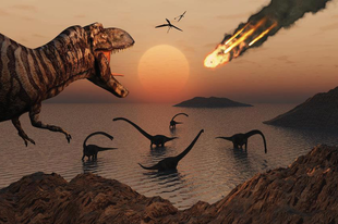 Kr. e. 65 000 000 - Kihalnak a dinoszauruszok