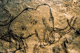 Kr.e. 40 000 - Kőkori barlangfestészet