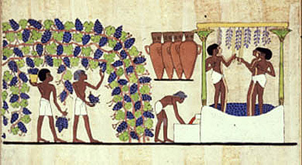 ancient-wine-making-egypt.jpg