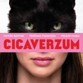 Október 19-én jön a Cicaverzum, Szeleczki Rozália első nagyjátékfilmje, aminek főszereplője beleszeret egy macskába