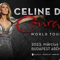 Egy évet csúszik Celine Dion európai turnéja