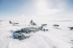 Itt a lehetőség, hogy a hétköznapi emberek is meghódítsák a skandináv sarkvidéket: indul a jelentkezés a Fjällräven Polarra!