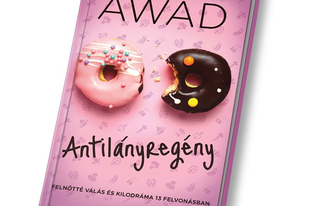 Könyvajánló: Mona Awad – Antilányregény