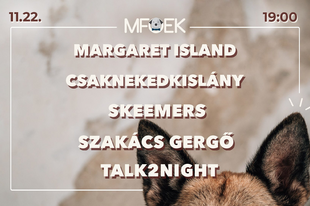 Online jótékonysági koncerten lép fel a Margaret Island, Szakács Gergő, a Skeemers, a Csaknekedkislány és a Talk2Night