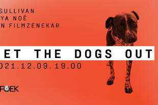 Újra itt a Let the dogs out! az MFÖEK jótékonysági koncertje