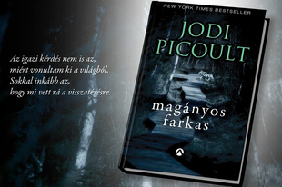Könyvajánló: Jodi Picoult – Magányos farkas