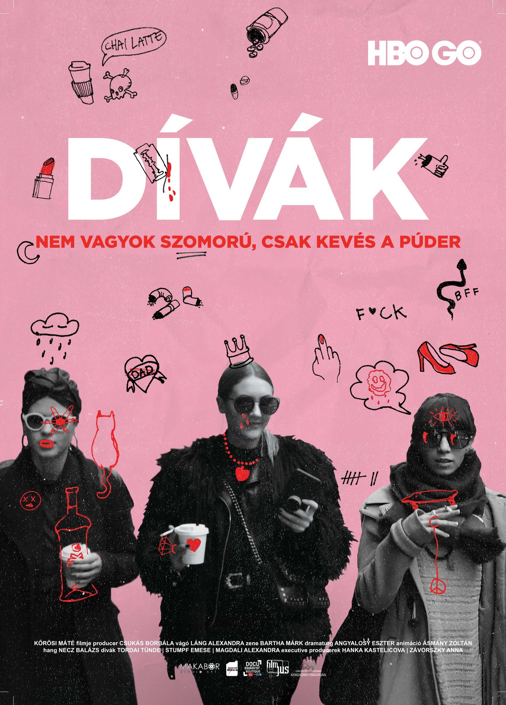 divak_plakat.jpg