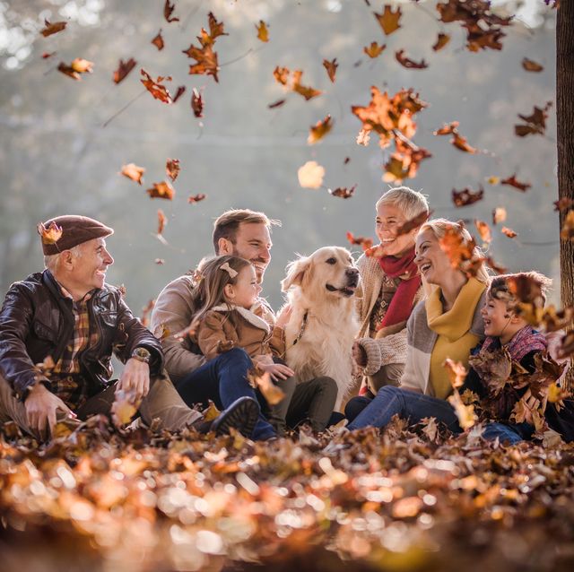 fall-acitivities-for-families-1563556913.jpg