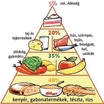 taplalekpiramis.jpg