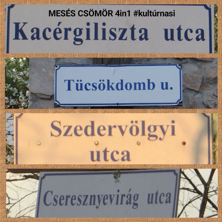 csokori_utcanevek.jpg