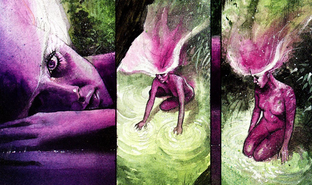 black-orchid-9-swamp-thing-bayou.jpg