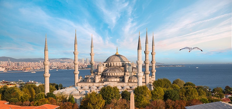 blue-mosque-aerial.jpg